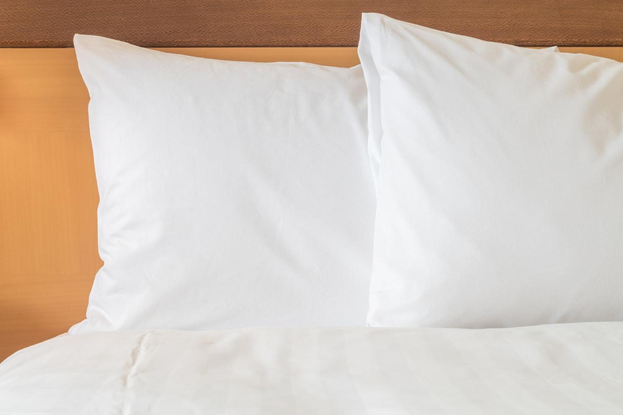 Holiday Inn Express Holly Springs - Raleigh Area By Ihg Buitenkant foto
